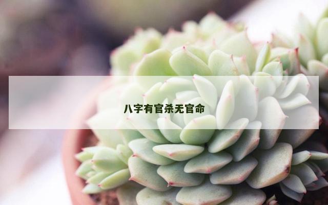 八字有官杀无官命
