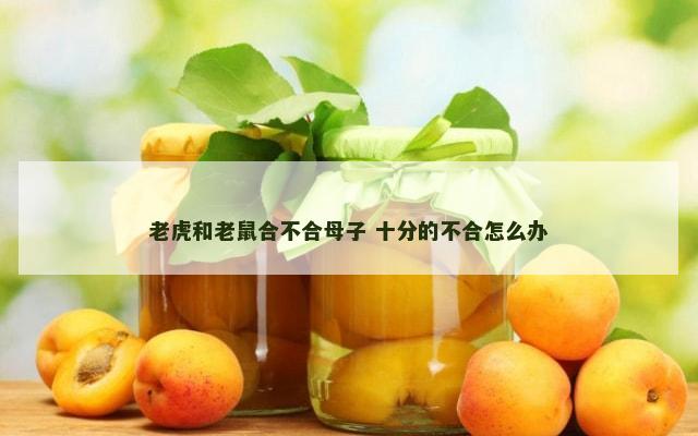 老虎和老鼠合不合母子 十分的不合怎么办