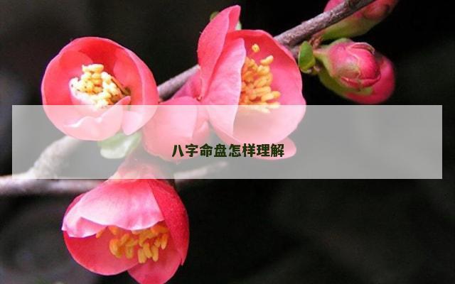 八字命盘怎样理解