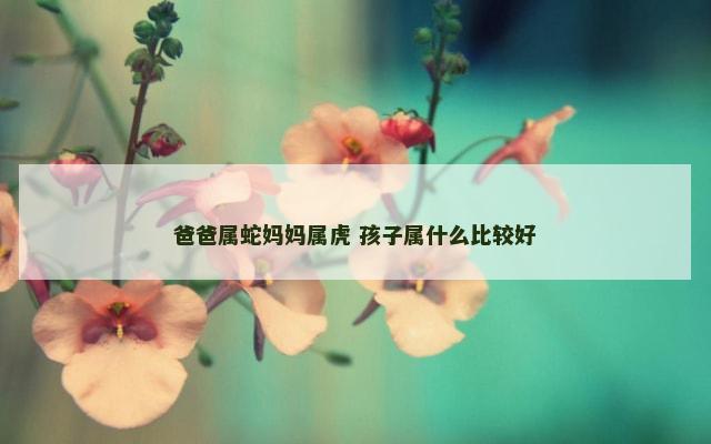 爸爸属蛇妈妈属虎 孩子属什么比较好