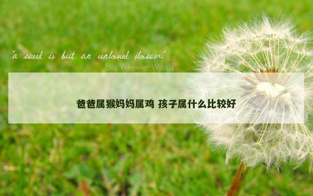 爸爸属猴妈妈属鸡 孩子属什么比较好