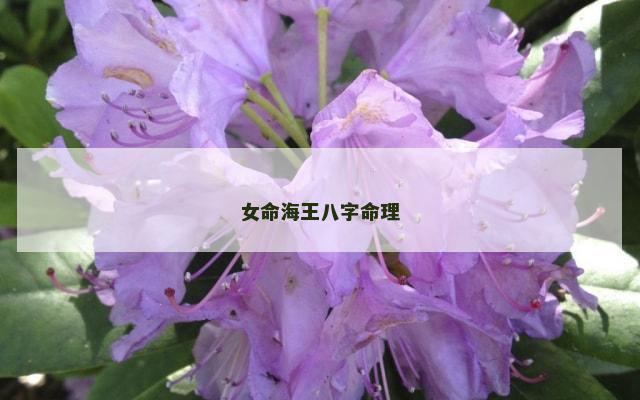 女命海王八字命理