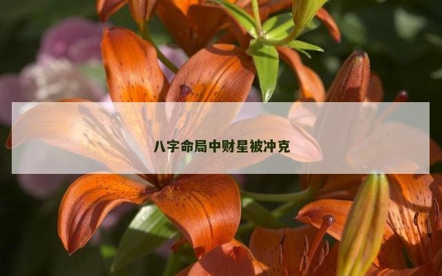 八字命局中财星被冲克