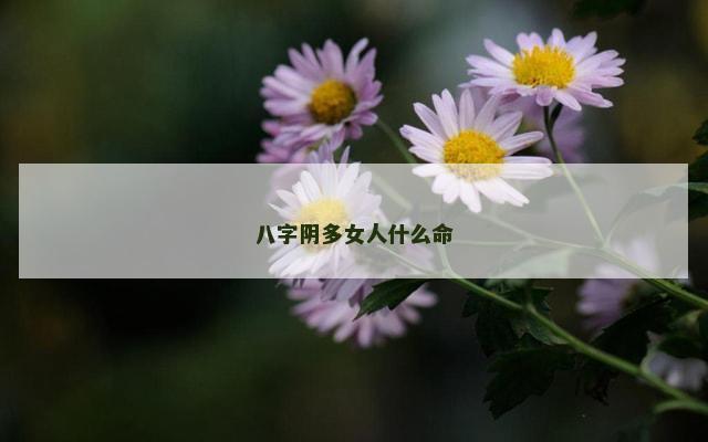 八字阴多女人什么命
