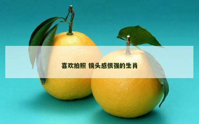 喜欢拍照 镜头感很强的生肖
