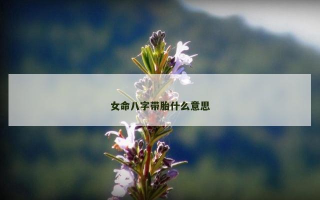 女命八字带胎什么意思