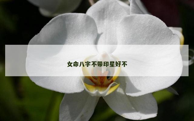 女命八字不带印星好不