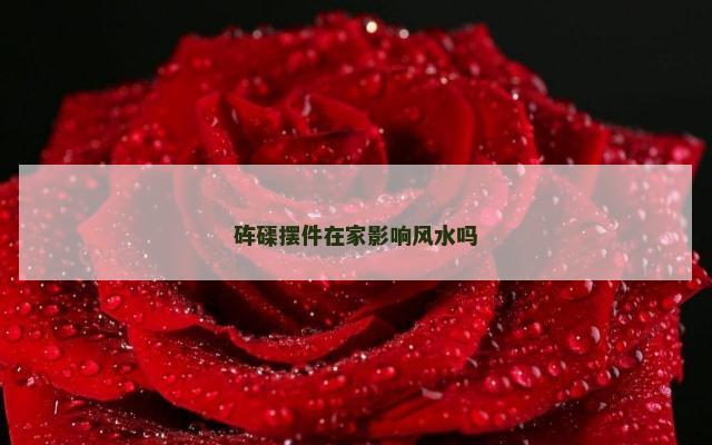 砗磲摆件在家影响风水吗