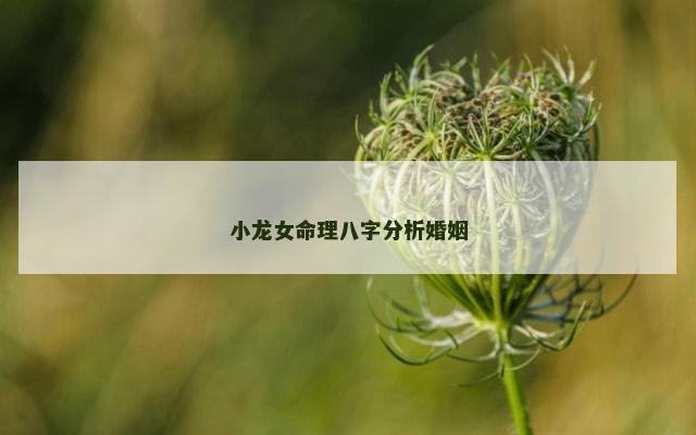 小龙女命理八字分析婚姻