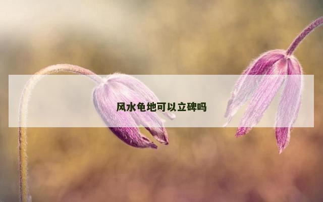风水龟地可以立碑吗