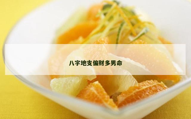 八字地支偏财多男命