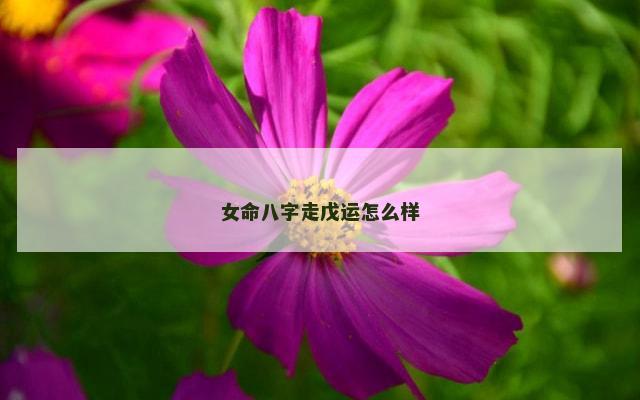 女命八字走戊运怎么样