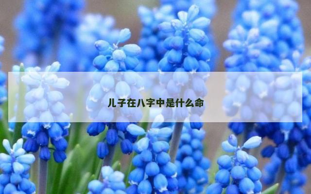 儿子在八字中是什么命