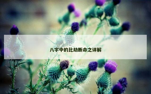 八字中的比劫断命之详解