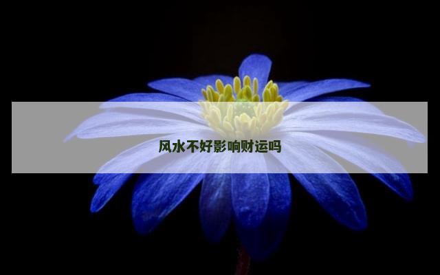 风水不好影响财运吗