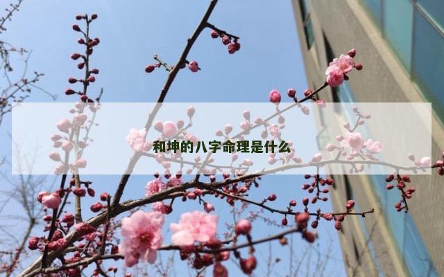 和坤的八字命理是什么