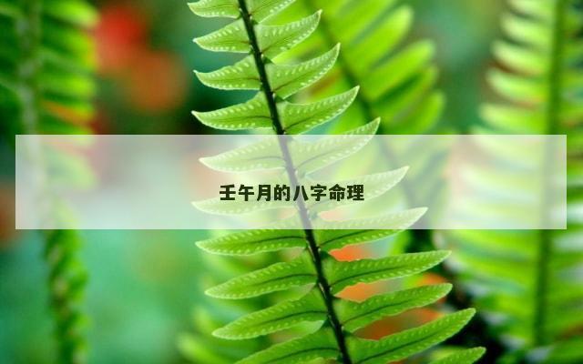 壬午月的八字命理