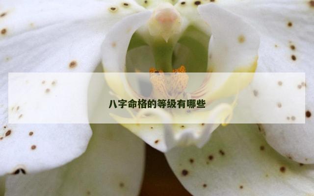 八字命格的等级有哪些