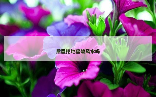 后屋挖地窖破风水吗