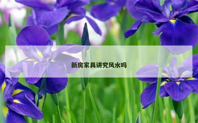 新房家具讲究风水吗