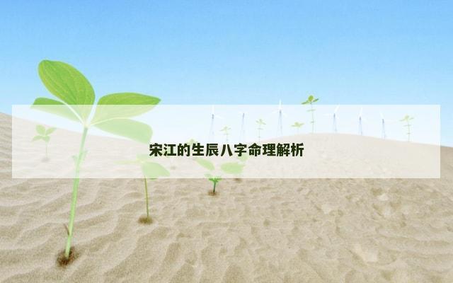 宋江的生辰八字命理解析