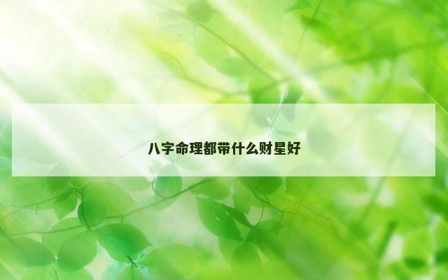 八字命理都带什么财星好