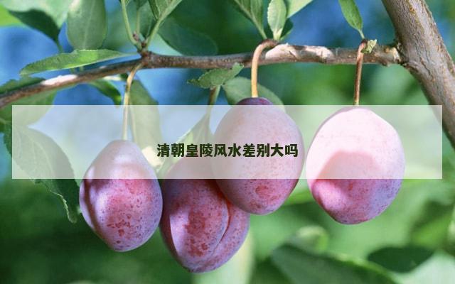 清朝皇陵风水差别大吗