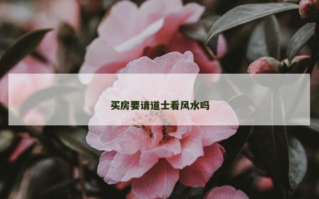 买房要请道士看风水吗