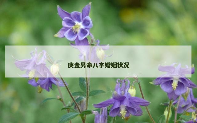 庚金男命八字婚姻状况