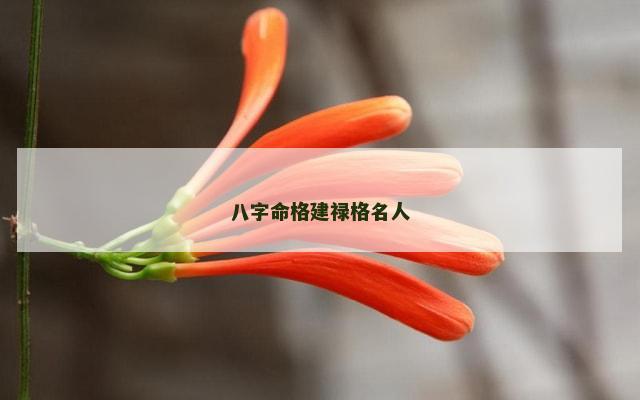 八字命格建禄格名人