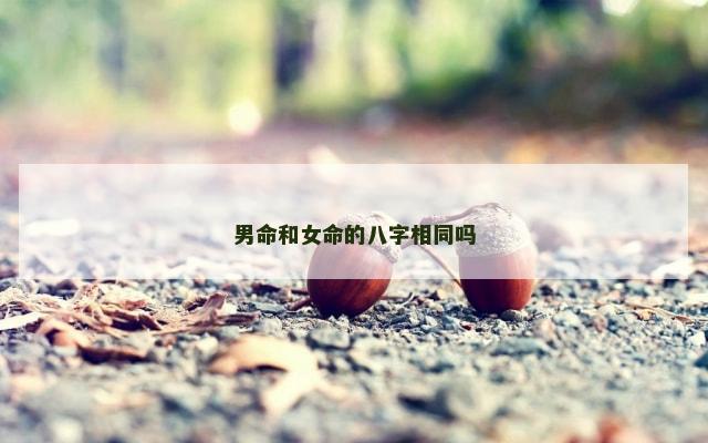 男命和女命的八字相同吗