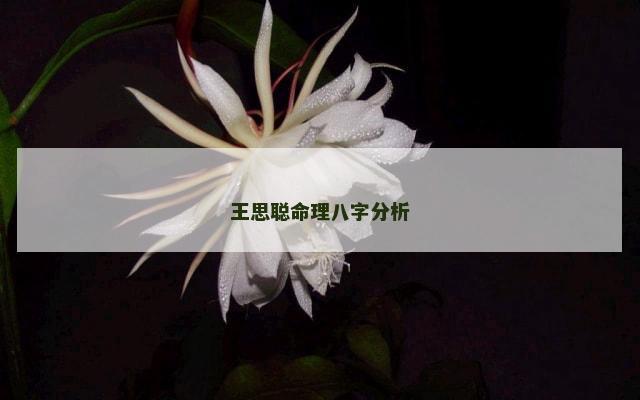 王思聪命理八字分析