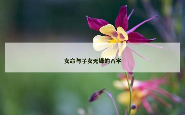 女命与子女无缘的八字