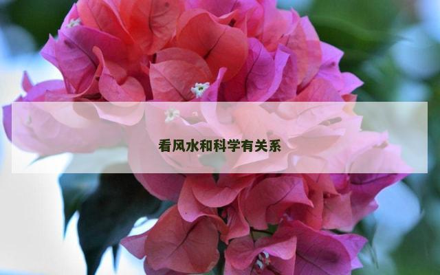 看风水和科学有关系