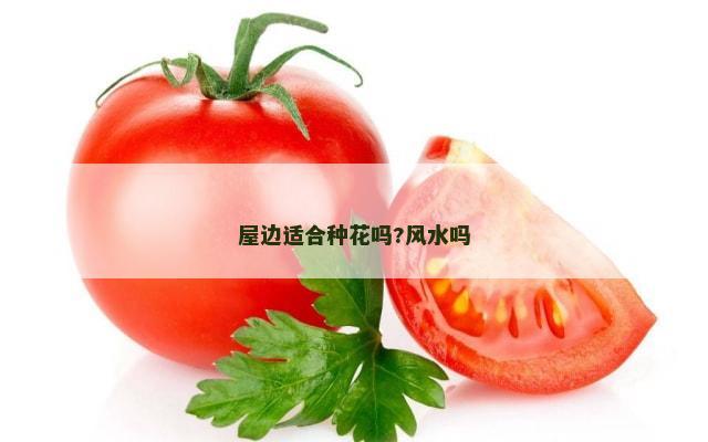 屋边适合种花吗?风水吗
