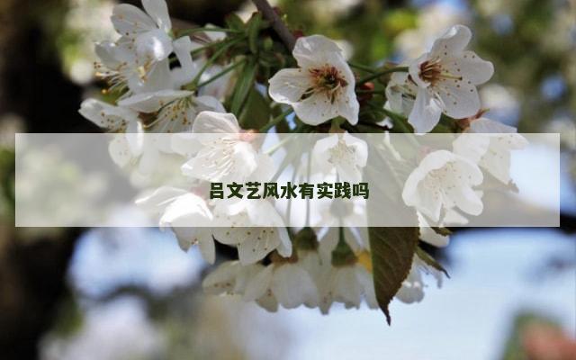 吕文艺风水有实践吗