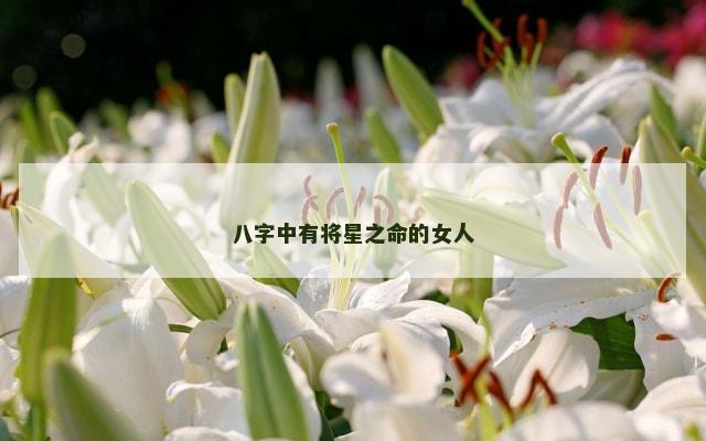 八字中有将星之命的女人