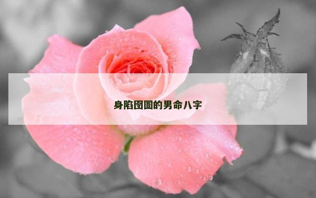 身陷囹圄的男命八字