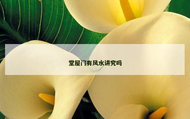 堂屋门有风水讲究吗