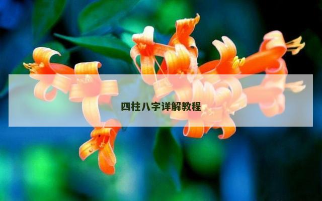四柱八字详解教程