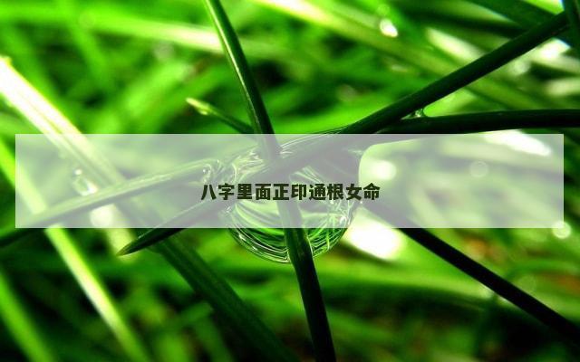 八字里面正印通根女命