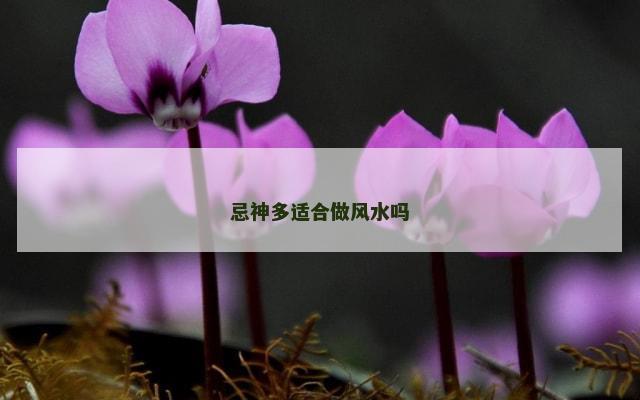 忌神多适合做风水吗
