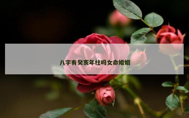 八字有癸亥年柱吗女命婚姻
