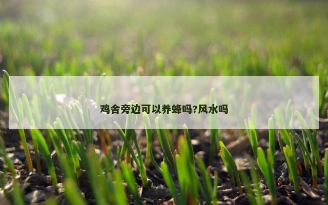 鸡舍旁边可以养蜂吗?风水吗