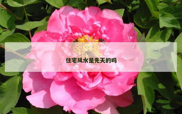 住宅风水是先天的吗