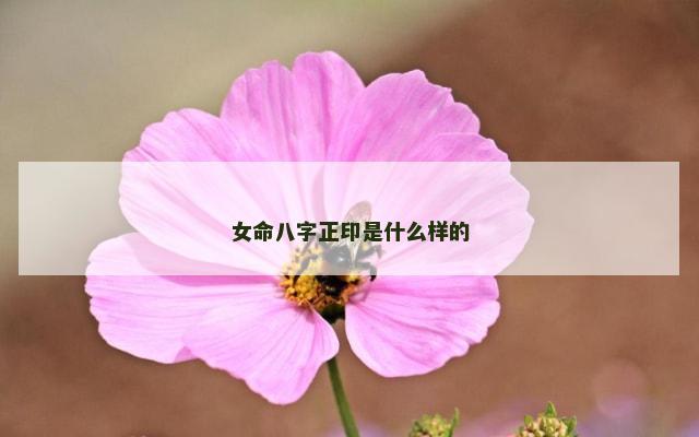 女命八字正印是什么样的