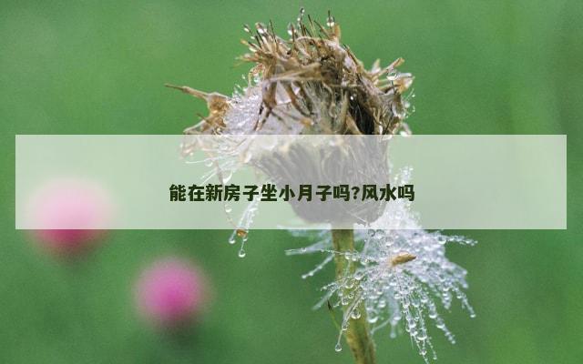 能在新房子坐小月子吗?风水吗