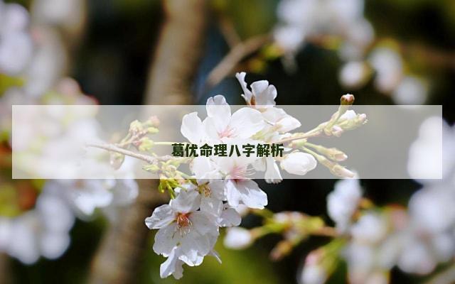 葛优命理八字解析