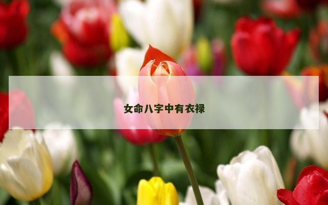 女命八字中有衣禄