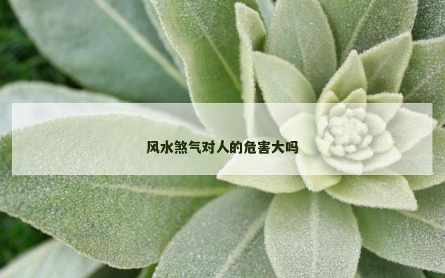 风水煞气对人的危害大吗